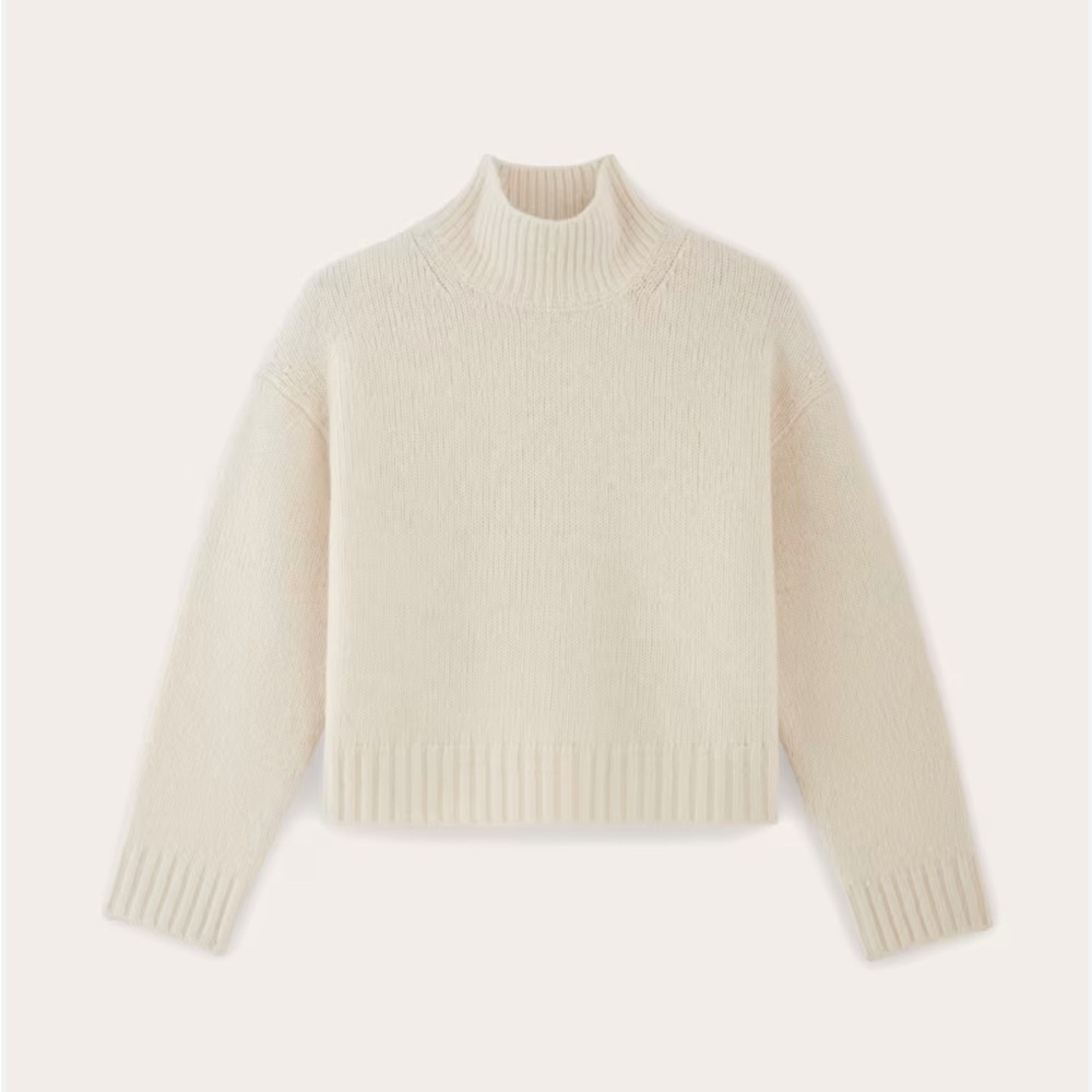 Everlane Cream Turtleneck Sweater